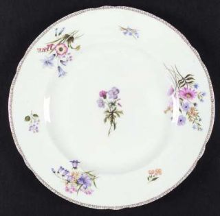 Shelley Wild Flowers (Gainsborough) Dinner Plate, Fine China Dinnerware   Gold T