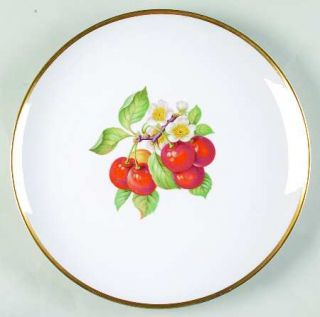 Hutschenreuther Fruit (Favorit Shape) 13 Chop Plate (Round Platter), Fine China