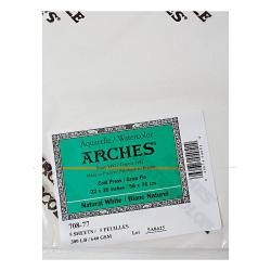 Arches 22 inch X 30 inch Cold Press Watercolor Paper Sheet (White 22 inches x 30 inchesPaper weight: 300 poundsQuantity: One sheetFinish: Cold pressColor: White )