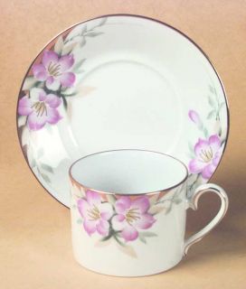 Noritake Azalea Flat Cup & Saucer Set, Fine China Dinnerware   Pink Flowers, Gre